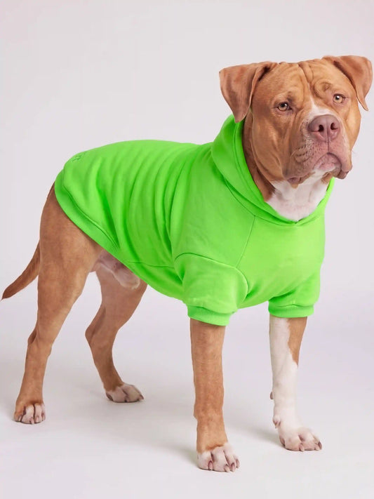 Neon Minimalist Paw Hoodie